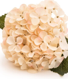 Candlelight Artificial Hydrangea Flower Stem Cream 46cm - thumbnail 3