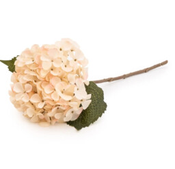 Candlelight Artificial Hydrangea Flower Stem Cream 46cm - thumbnail 1