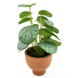 Candlelight Artificial Money Plant in Terracotta Effect Pot 30cm - thumbnail 2