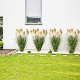DDHS 33inch Onion Tall Grass Greenery -6pcs - thumbnail 2