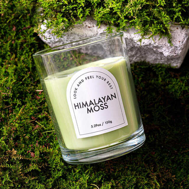 Zooly Transparent Colored Scented Candle - Himalayan Moss (Light Green), 140G, 1PC - image 1