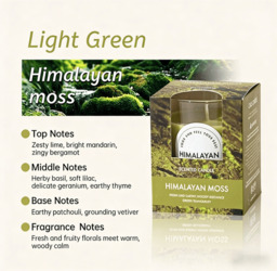 Zooly Transparent Colored Scented Candle - Himalayan Moss (Light Green), 140G, 1PC - thumbnail 5