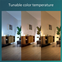 Philips Ceiling Light LED & Retractable Fan Bliss 3 Brightness Settings with Remote White 28W+35W - thumbnail 7