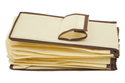 Essentials by Premier Cream Brown Trim 10 Section Hanging Shoe Organiser - thumbnail 3