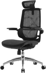 SIHOO M59S Ergonomic Office Chair， Desk Chair with 3D Coordinated Flip-up Armrests， Computer Chair with Dual Back Design and Adaptive Dynamic Lumbar Support(Black)