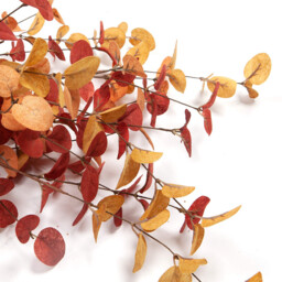 Yuejia 3Pcs 27.5in/70cmArtificial Eucalyptus Stems Fall Decorations with Fall Eucalyptus Leaves Autumn Decorations for Office and Home Artificial Plants for Floral Arrangement - thumbnail 3