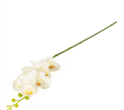 Candlelight Artificial Orchid Flower Stem White 86cm - thumbnail 1