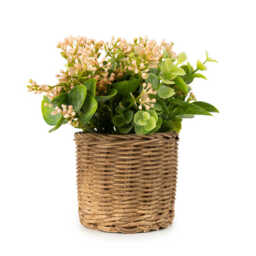 Candlelight Artificial Babysbreath & Eucalyptus in Wicker Basket 20.3cm - thumbnail 2