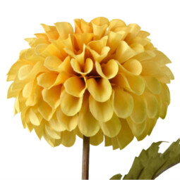 Candlelight Artificial Dahlia Flower Stem Ochre 60cm - thumbnail 2