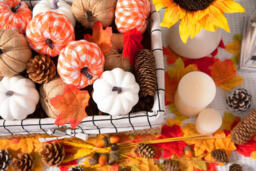 Marrybox Fall Decorative Pumpkins Plush Orange/Hessian/White 12pcs - thumbnail 5