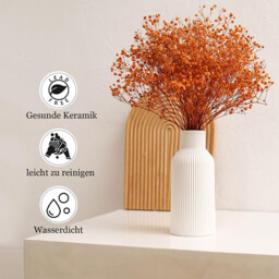 1pc/20.5cm/8in Vase for Pampas Grass, Ceramic Vase, White, Matt, Round, Modern Design, Boho Style for Decoration, Aesthetic, Flower Vase for Living Room, Bedroom Decoration, Simple Nordic Style - thumbnail 5