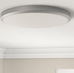 Philips Ceiling Light LED Luminaire Spray Bathroom Warm White 12W D: 28.7cm - thumbnail 7
