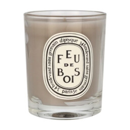 Diptyque Feu De Bois Candle 70g