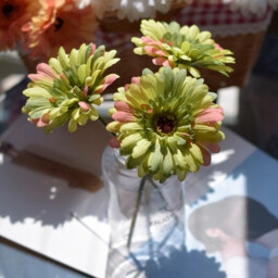 3Pcs 9.05in/23cm Artificial Silk Gerbera Flowers Wedding Home verandahs Table Decor Fake Daisy Chrysanthemum Party Home Decoration(green) - thumbnail 2