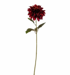 Candlelight Artificial Dahlia Flower Stem Burgundy 74cm - thumbnail 3