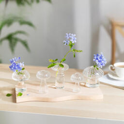 Mushroom Plant Terrarium, Set of 10 Unique Propagation Station, Small Cute Planters, Hydroponic Decorative Planters for Indoor Plants, Clear Blown Glass Flower Vase for Dining Table Decor - thumbnail 1