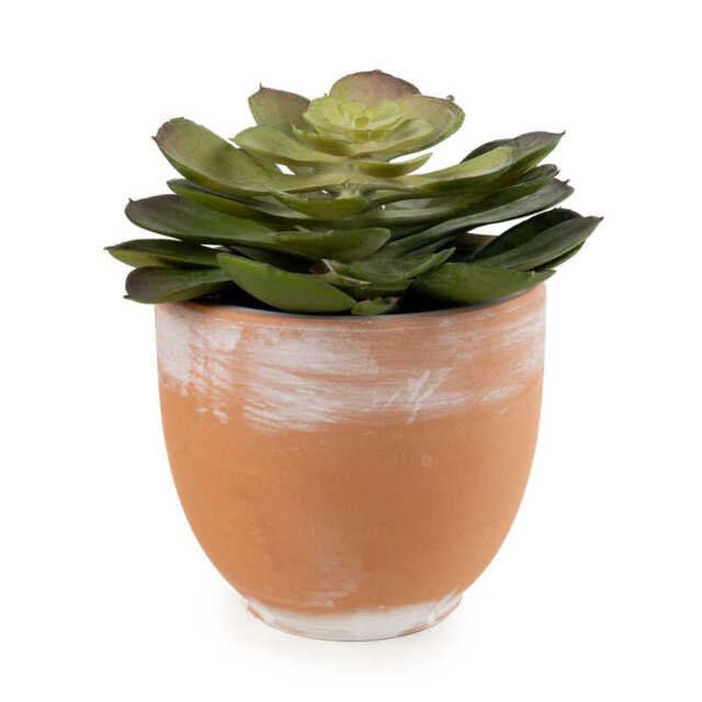 Candlelight Artificial Green Echeveria Succulent in Terracotta Effect Pot 13cm - image 1