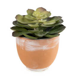 Candlelight Artificial Green Echeveria Succulent in Terracotta Effect Pot 13cm - thumbnail 3