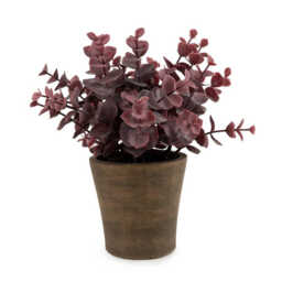 Candlelight Artificial Eucalyptus Plant in Rustic Pot 23cm - thumbnail 1