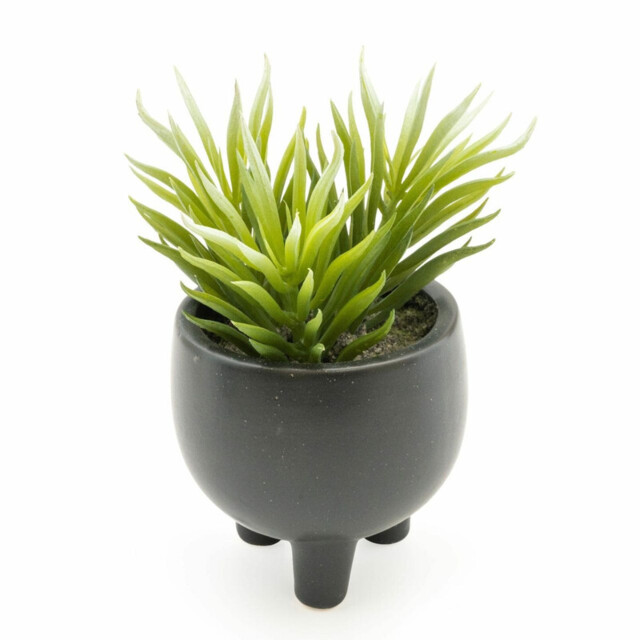 Candlelight Artificial Ice Plant Succulent in Ceramic Pot 15cm - image 1