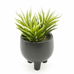 Candlelight Artificial Ice Plant Succulent in Ceramic Pot 15cm - thumbnail 1