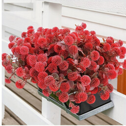 Yuejia  4Pcs 13.77in/35cmArtificial Billy Ball Flower Man Fake Plants Living Room Decoration Ornaments Desktop Fake Flowers(red) - thumbnail 2