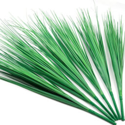 32inch onion grass-6pcs - thumbnail 4