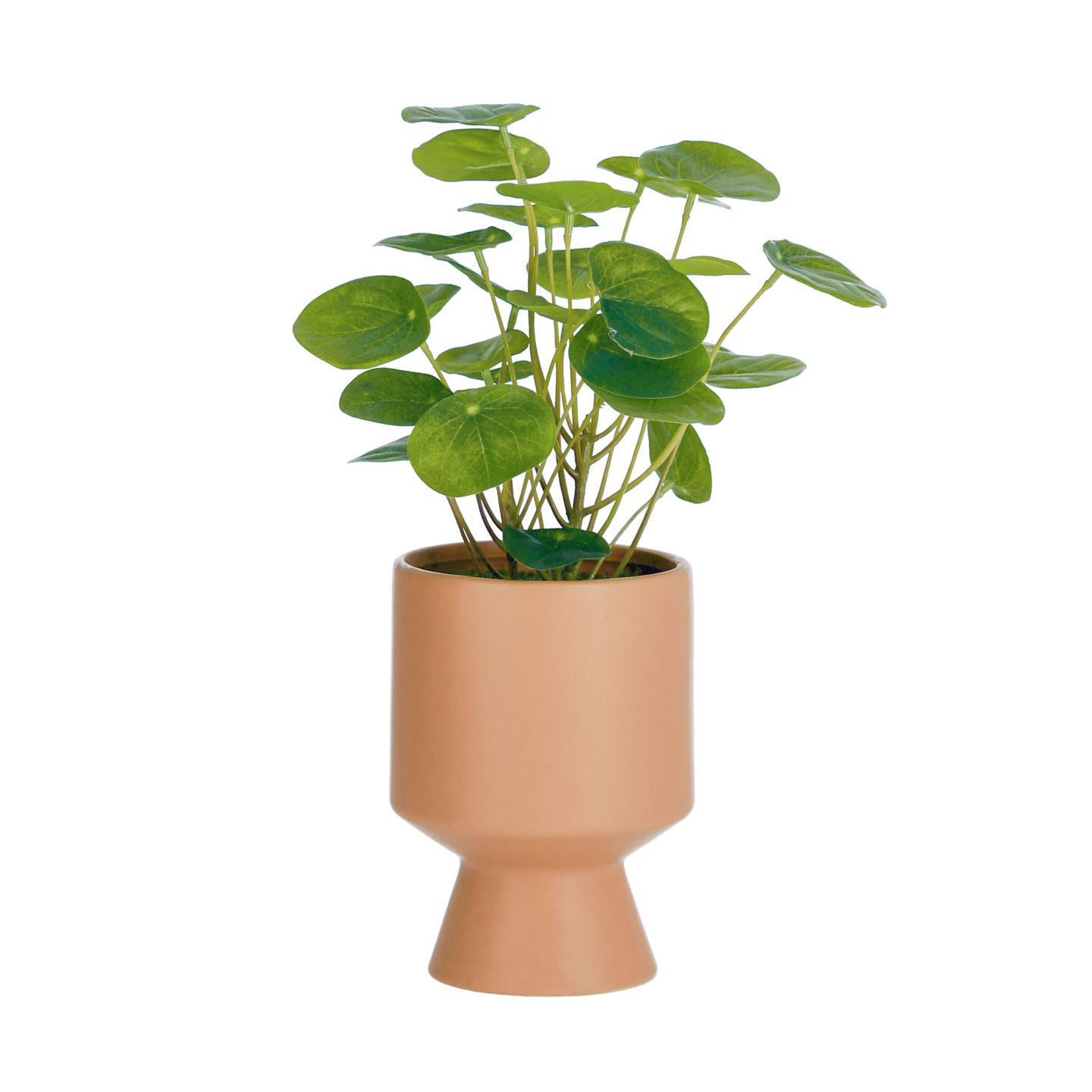 Bailey artificial plant with pink ceramic planter 21.6 cm