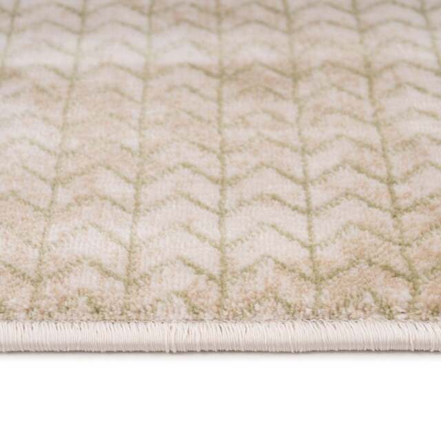 Beige Green Chevron Rug - Braided - Catalina - 120cm x 170cm