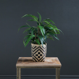 50cm Artificial Bamboo Plant in Black & Natural Woven Pot