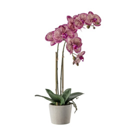 50cm Artificial Orchid Pink With Ceramic Pot