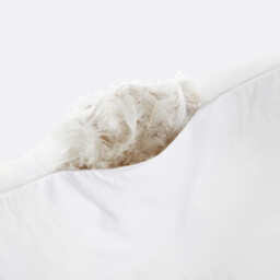 Cotton Pillowcase - thumbnail 2