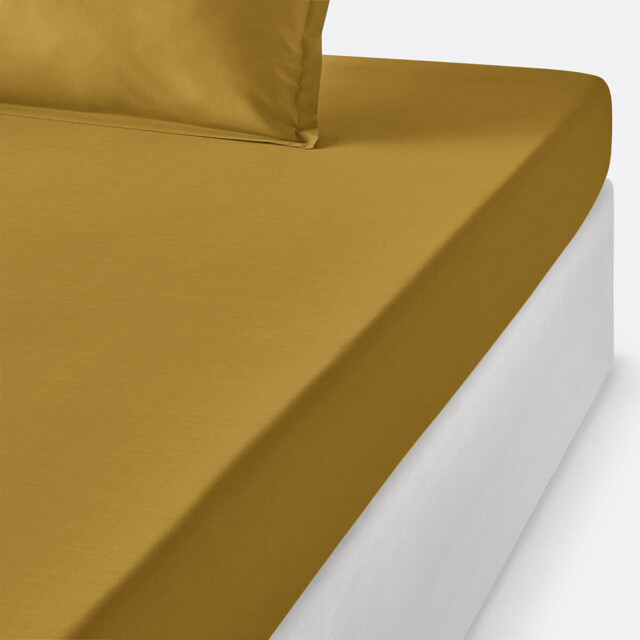 Scenario Kids' Cotton Percale 200 Thread Count Fitted Sheet