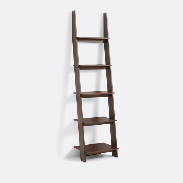 Domeno Wall-Mounted Ladder Bookcase in Walnut-Stained Ash Veneer - image 1