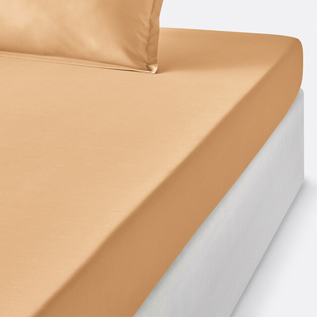 Scenario Kids' Cotton Percale 200 Thread Count Fitted Sheet