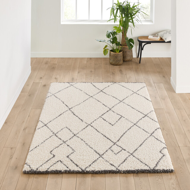 Rabisco Berber Style Rug - image 1