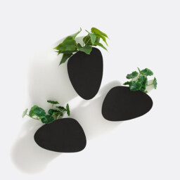 Set of 3 Pavo Metal Wall Planters - thumbnail 2