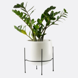 Kuza 27cm Diameter Raised Planter - thumbnail 3