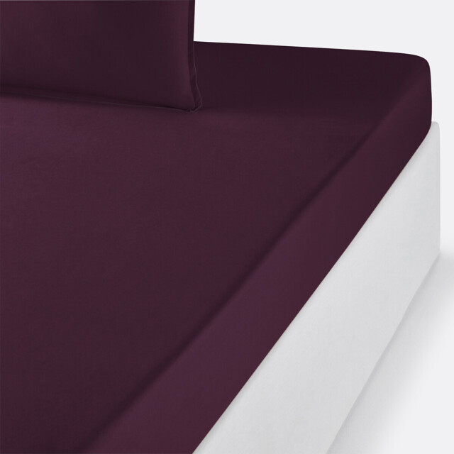 Plain Organic Cotton Percale Fitted Sheet