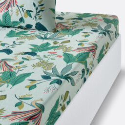 Somerset Tropical Cotton Percale 200 Thread Count Fitted Sheet