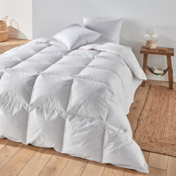 15% Goose Down 6.5 Tog Duvet with Cotton Percale Cover - thumbnail 1