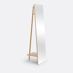 Adargi Standalone Mirror with Hanging Rail