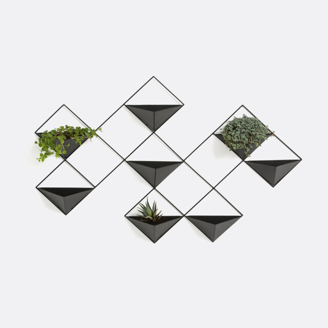 Ikebana Metal Wall Planter