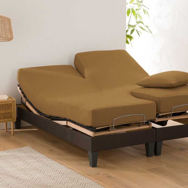 Scenario Plain Cotton Fitted Sheet For Articulated Bed
