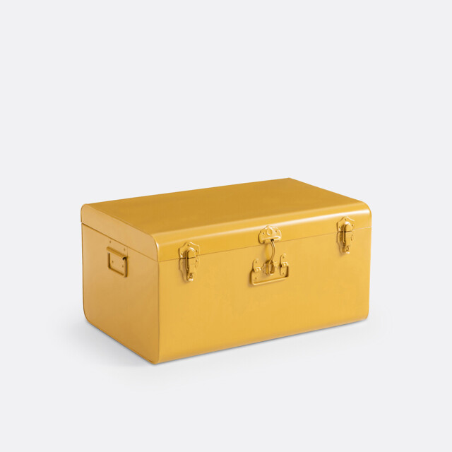 Masa Metal Storage Trunk - image 1
