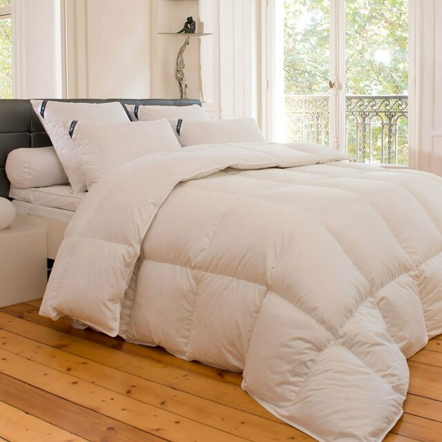 Warm Duvet 90% Goose Down with Anti-Mite Treatment - image 1