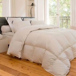 Warm Duvet 90% Goose Down with Anti-Mite Treatment - thumbnail 1