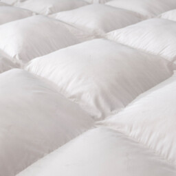 Warm Duvet 90% Goose Down with Anti-Mite Treatment - thumbnail 2