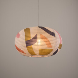 Wonder Printed Rice Paper Ball Ceiling Light - thumbnail 4
