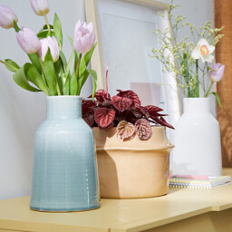 Pastela 23cm High Ceramic Vase - thumbnail 2